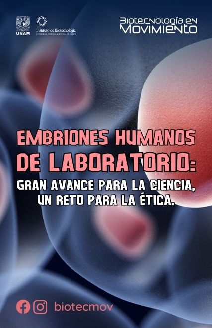 Embriones humanos de laboratorio: gran avance para la ciencia, un reto para la ética.