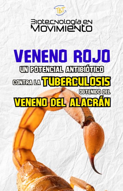 Veneno rojo: Un potencial anitbiótico contra la tuberculosis obtenido del veneno de alacrán