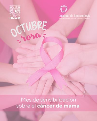 Octubre rosa: Mes de sensibilizacin sobre el cncer de mama
