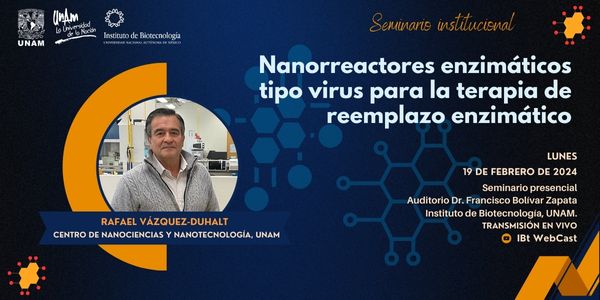 Nanorreactores enzimticos tipo virus para la terapia de reemplazo enzimtico