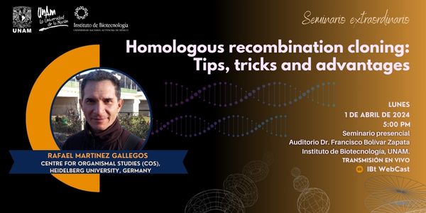 Homologous recombination cloning: Tips, tricks and advantages