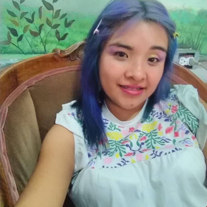 M. C. Claudia Virginia Dorantes Torres