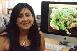 Dra. Katy Juarez Lopez