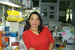 Dra. Lucia Perezgasga Ciscomani