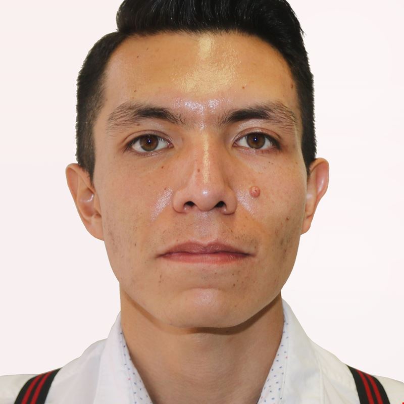 Q. Leon Fernando Arenas Cedillo