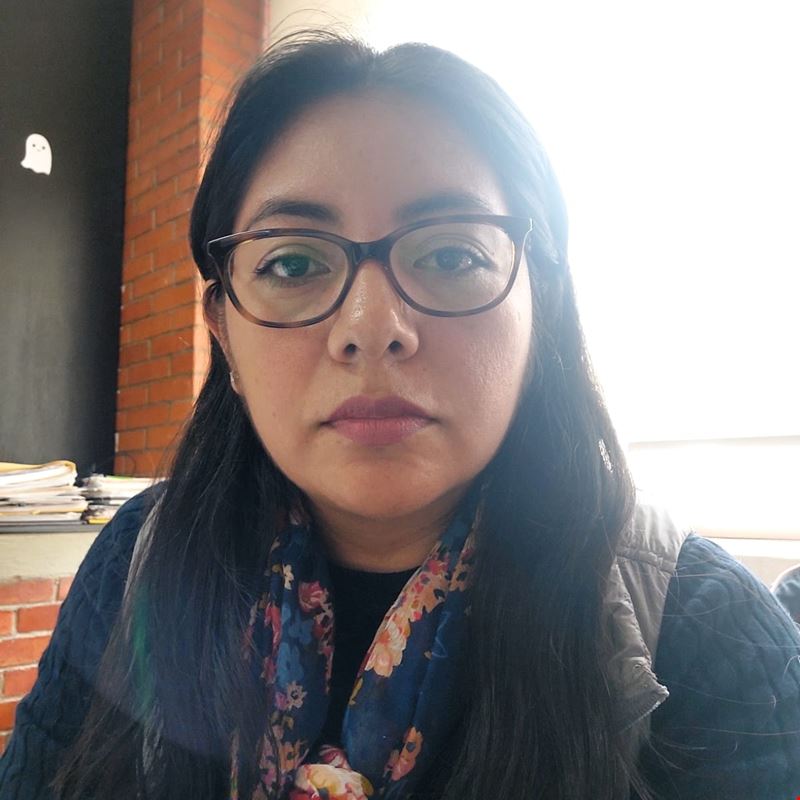 C.P. Laura Vicente Martn
