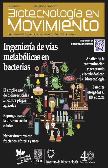 Biotecnología en Movimiento Número 29: Ingeniería de vías metabólicas en bacterias 
