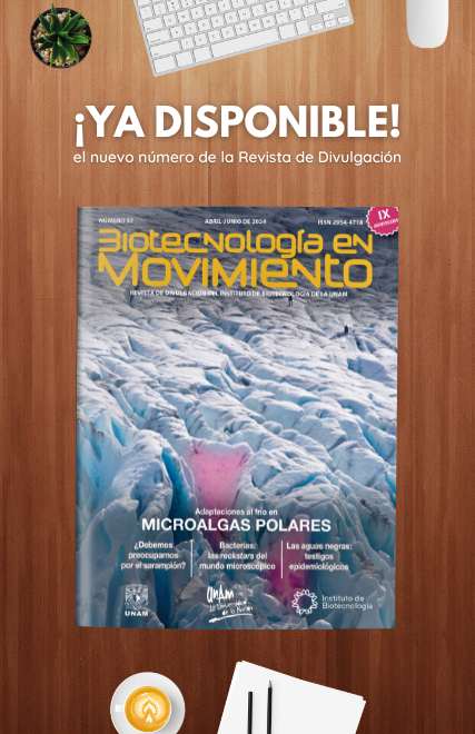 ¡Ya disponible! Nuevo número de la revista "Biotecnología en Movimiento"