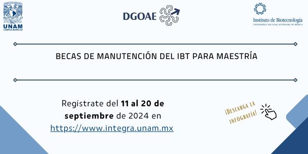 BECAS DE MANUTENCIN DEL IBt PARA MAESTRA 