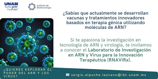 Laboratorio de Investigacin en ARN y Virus para la Innovacin Teraputica (RNAViRx)