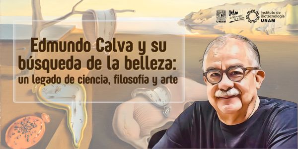 Edmundo Calva y su bsqueda de la belleza: un legado de ciencia, filosofa y arte