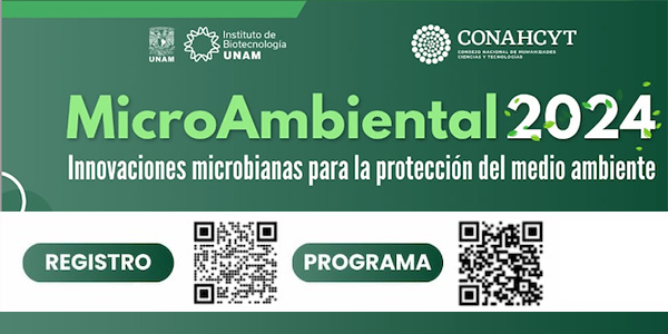 MicroAmbiental  2024