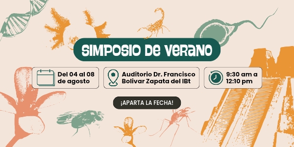 Simposio de Verano 2025 | Programa