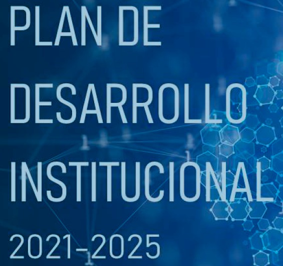 Plan de Desarrollo Institucional