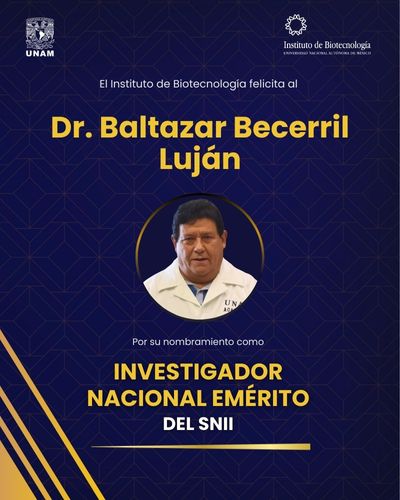 Nombran Investigador Nacional Emérito del SNII al Dr. Baltazar Becerril Luján