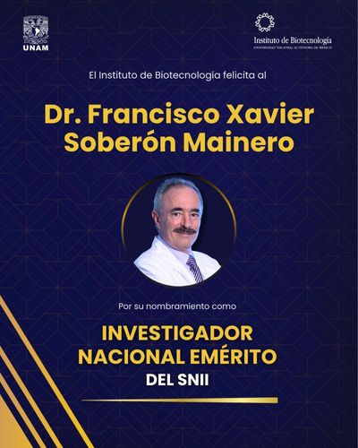 Nombran Investigador Nacional Emérito del SNII al Dr. Francisco Xavier Soberón Mainero