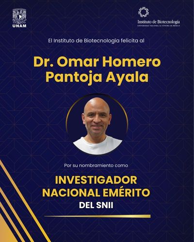 Nombran Investigador Nacional Emérito del SNII al Dr. Omar Homero Pantoja Ayala