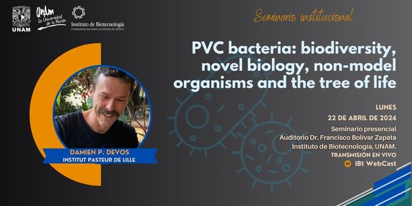 PVC bacteria: biodiversity, novel biology, non-model organisms and the tree of life