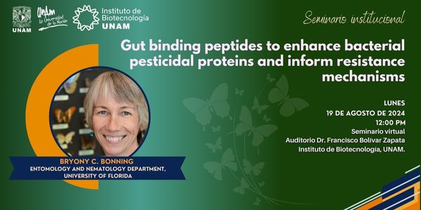 Gut binding peptides to enhance bacterial pesticidal proteins and inform resistance mechanisms