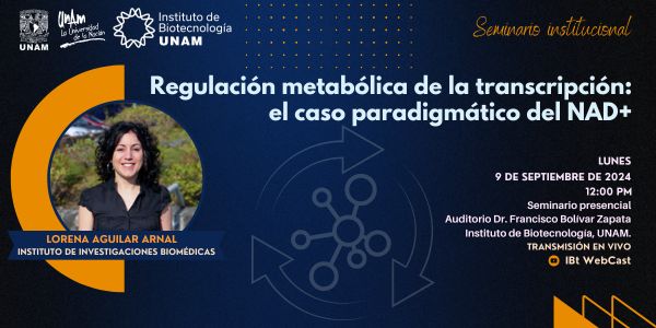 Regulación metabólica de la transcripción: el caso paradigmático del NAD 