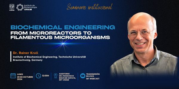 Biochemical engineering - from microreactors to filamentous microorganisms