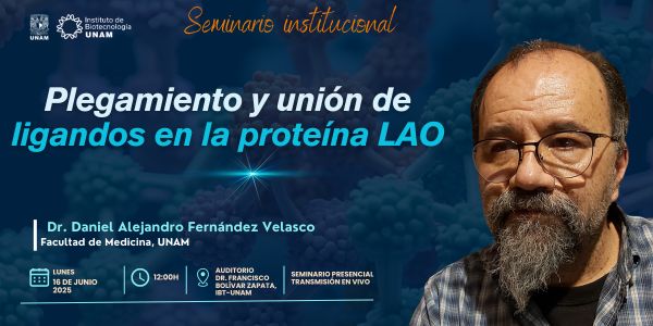 Plegamiento y unión de ligandos en la proteína LAO