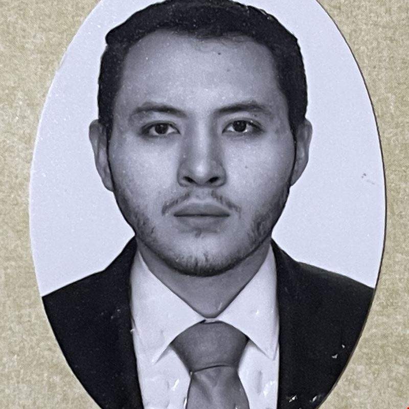 Sergio Francisco  Flores  Hernandez